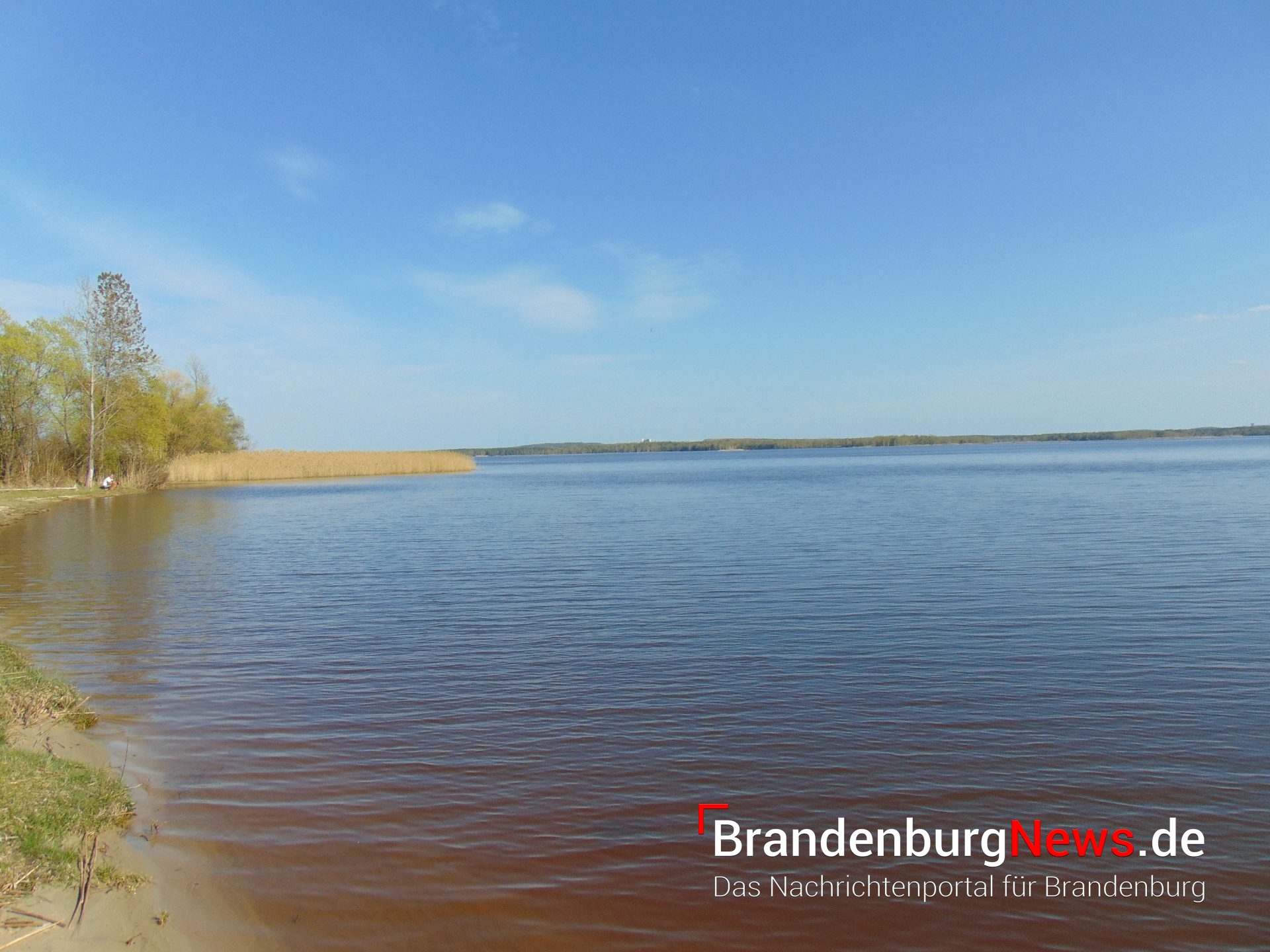 Bindow Blaualgen im Ziestsee Bindower Badestelle gesperrt
